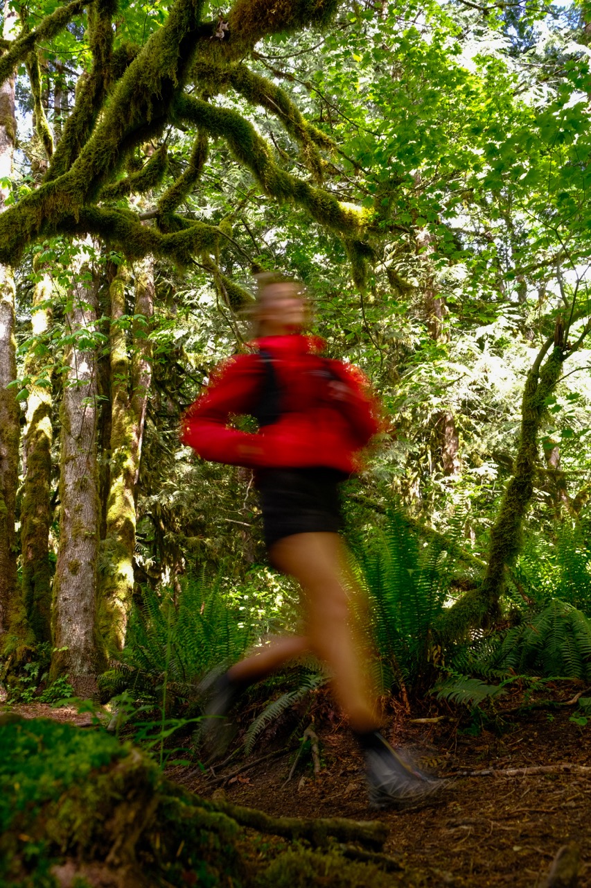 Hiking Patrol image 3